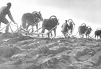 Коммуна, 1931