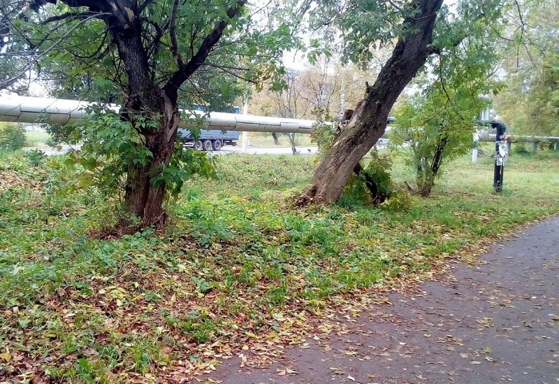 В Вахрушах реализовано инициативное предложение в рамках проекта «Народный бюджет»