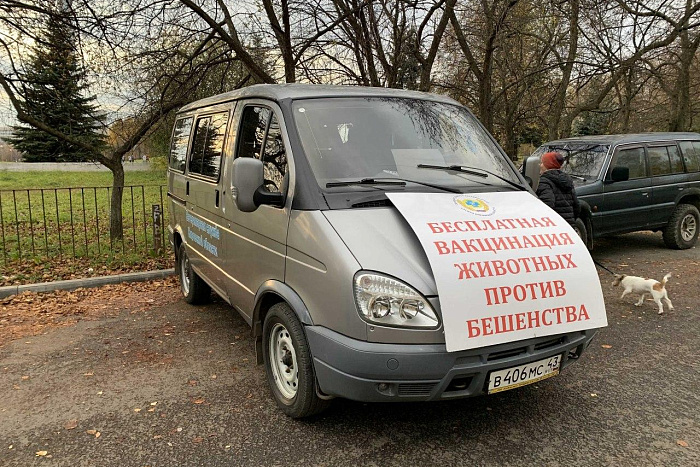 Ветеринары Кировской области провели 30 миллионов вакцинаций домашних животных