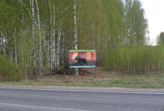 Детский рисунок помогает бороться с лесными пожарами в Пижанском районе