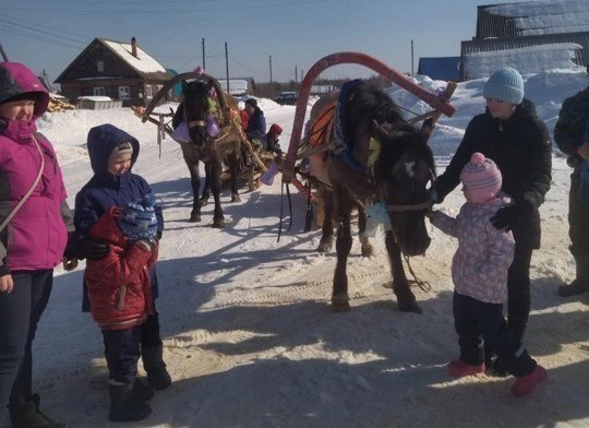 Жителей села Гордино приглашают прокатиться на участок на вятской лошадке 