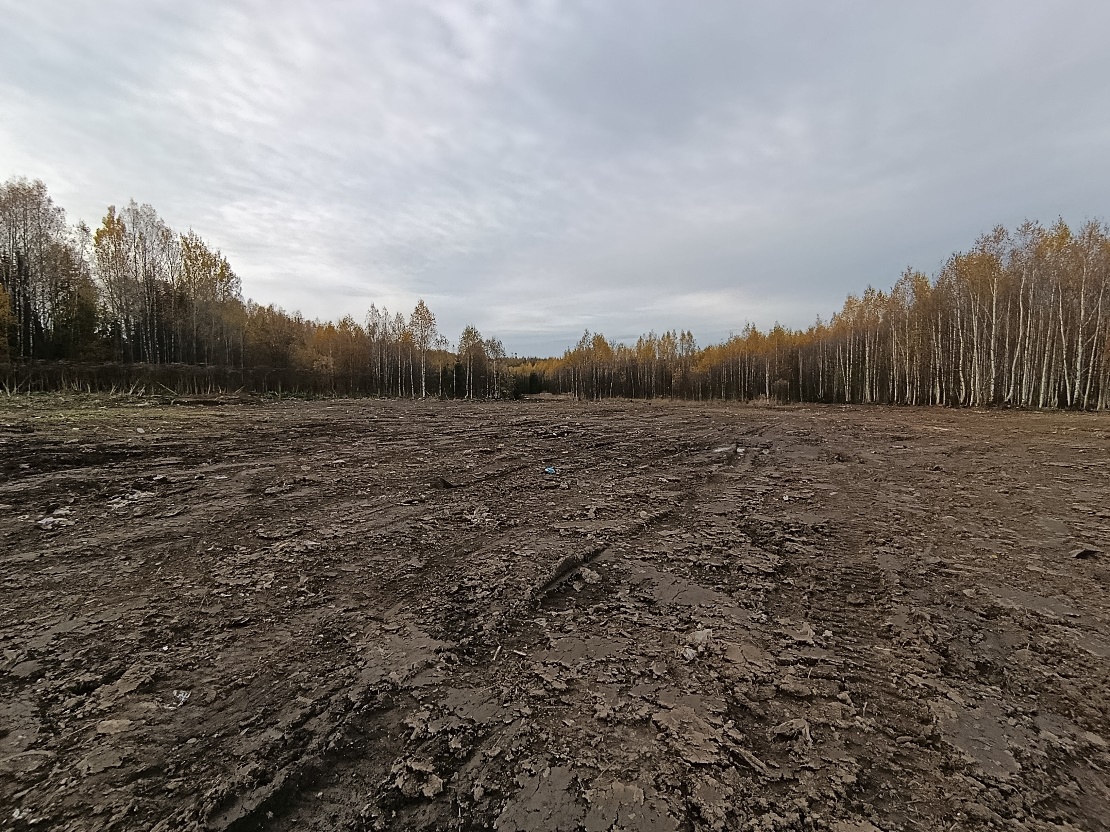 В Кировской области ликвидировано более 80% поселковых свалок