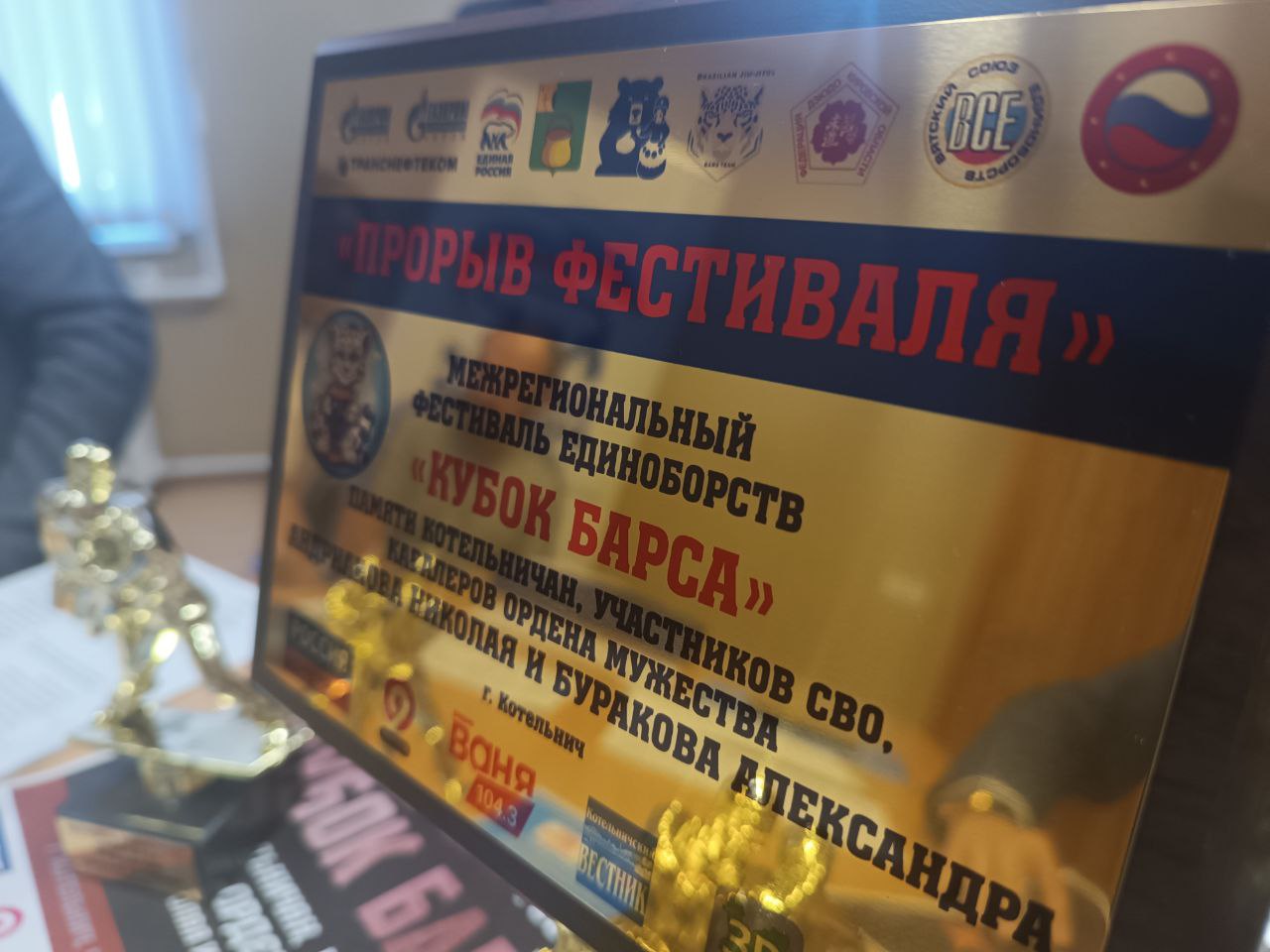 В Кировскую область приедут звезды бразильского джиу-джитсу