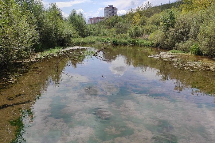 Озеро Ежово очистят от ила и водорослей