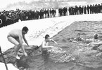 Вятские моржи