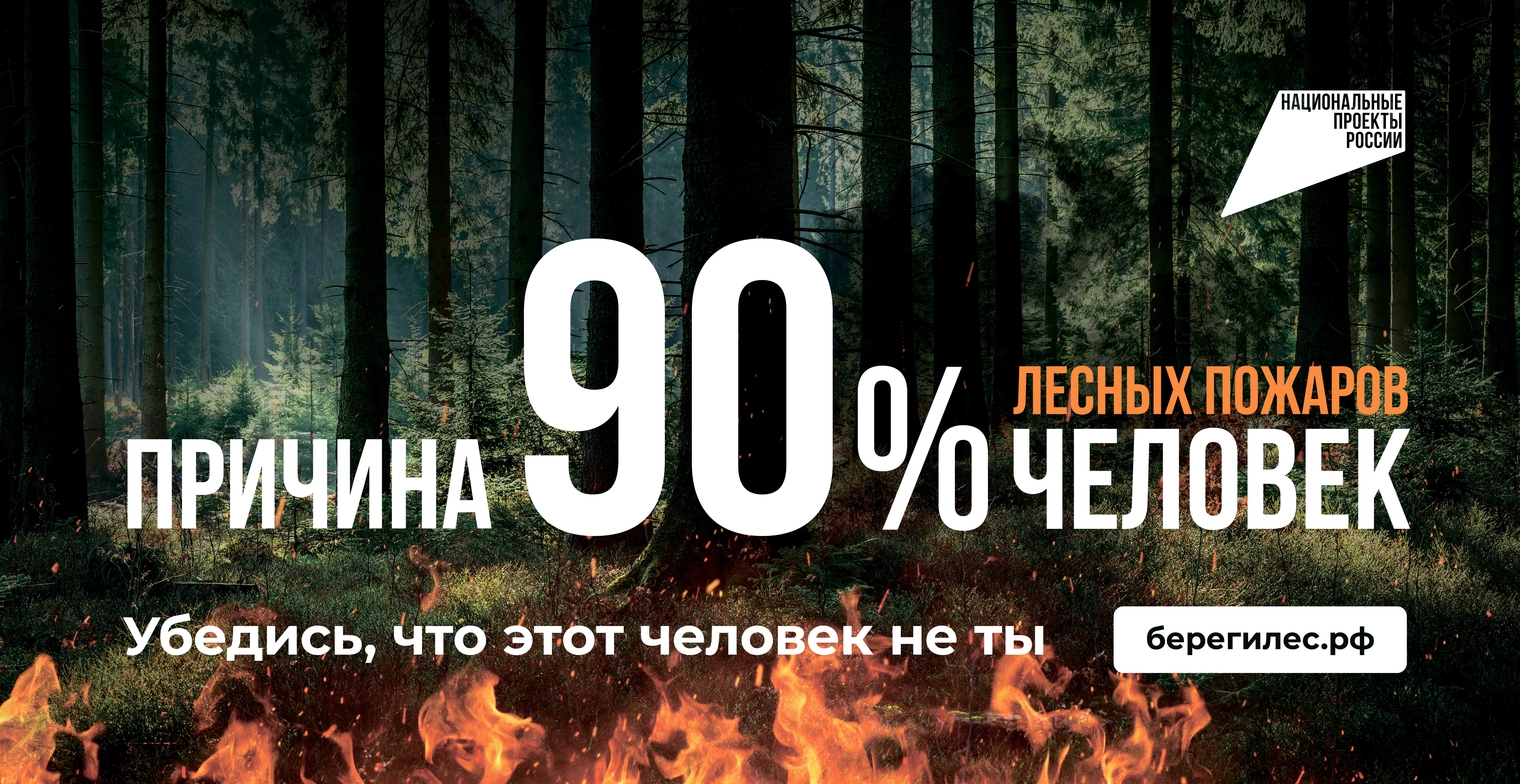 На опережение стихии: профилактика и борьба с лесными пожарами