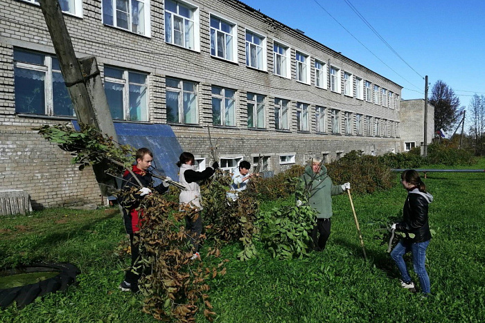 В 2025 году более 20 тысяч жителей региона приняли участие в субботниках