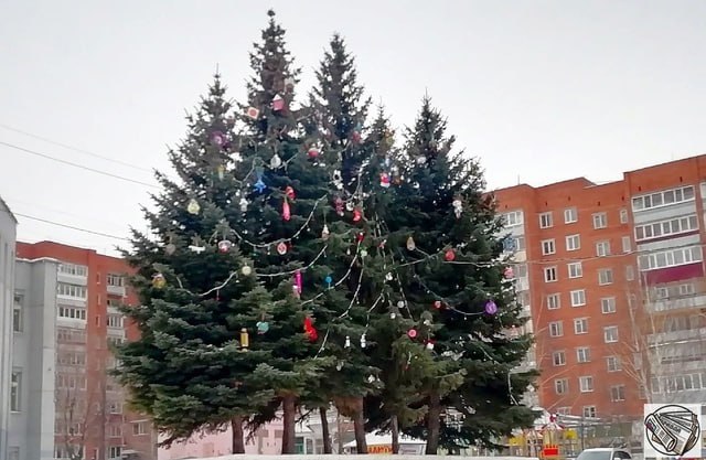 В Новогодней столице России объявлен конкурс на лучшую новогоднюю елку