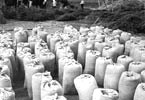 Пора урожайная Пора урожайная