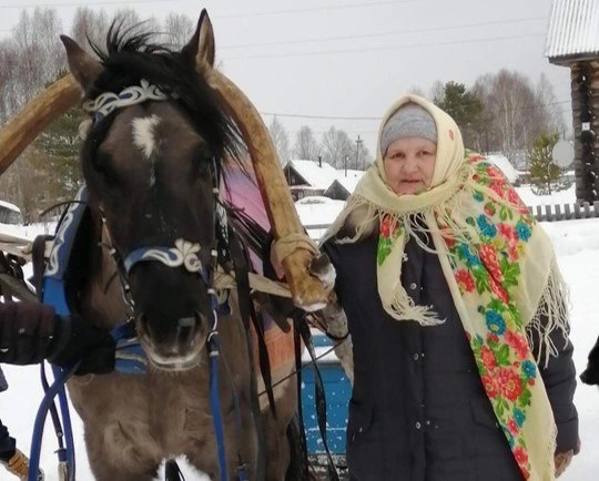 Жителей села Гордино приглашают прокатиться на участок на вятской лошадке 