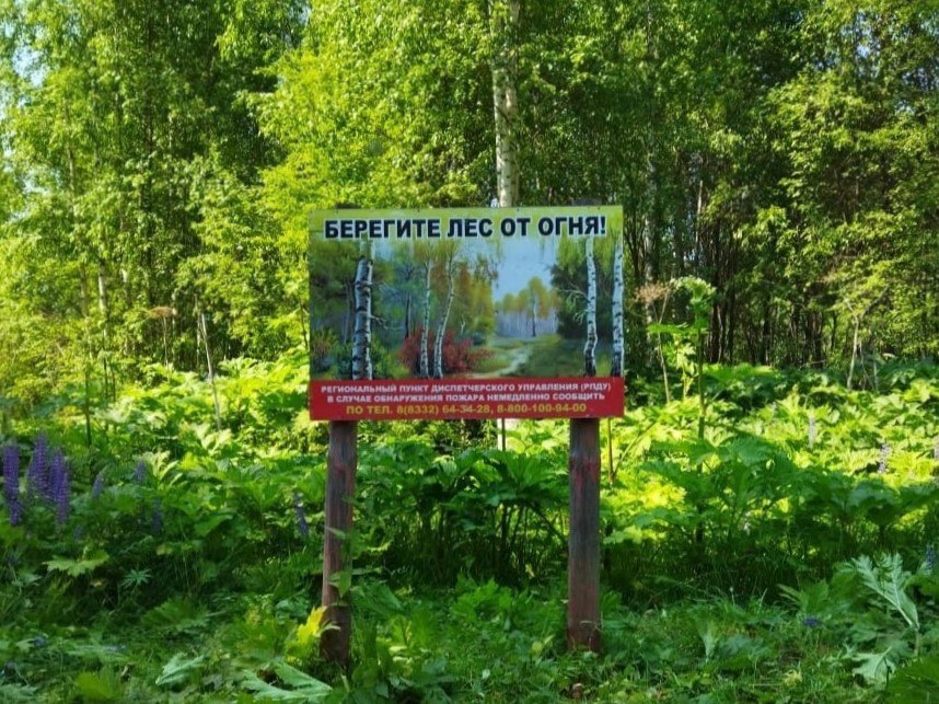 Кировская область присоединится к федеральной кампании «Останови огонь!»
