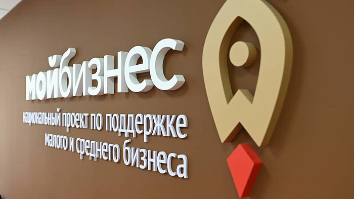 Более 500 предпринимателей Кировской области получили льготные займы на развитие