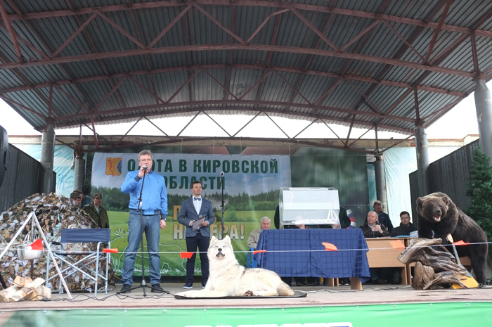 Кировским охотникам впервые открыто распределили разрешения на добычу кабана