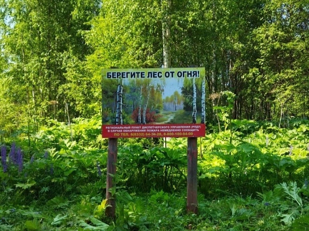 В Кировской области подвели итоги федеральной кампании «Останови огонь!»