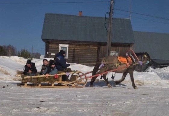 Жителей села Гордино приглашают прокатиться на участок на вятской лошадке 