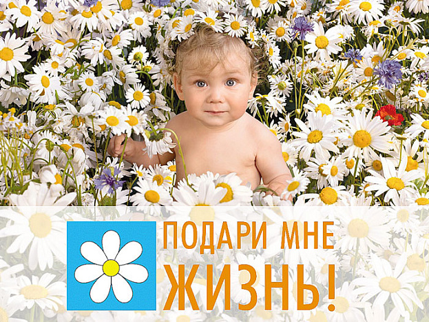 В Кировской области стартует акция «Подари мне жизнь!»