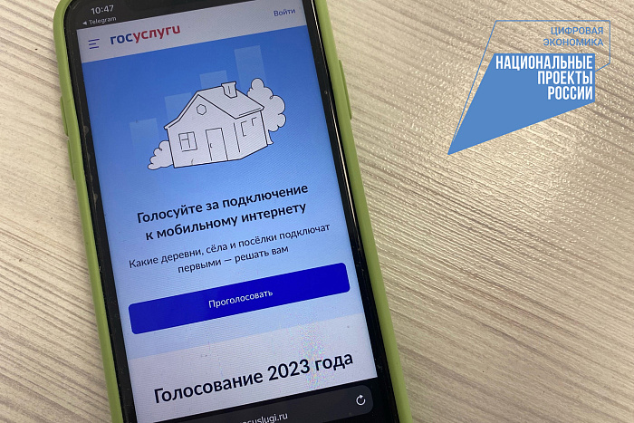 Жители Кировской области голосуют за подключение сел к интернету 