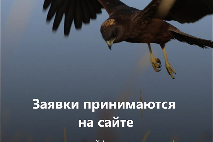 Стартовал первый грантовый конкурс Президентского фонда природы с объемом 1 млрд рублей