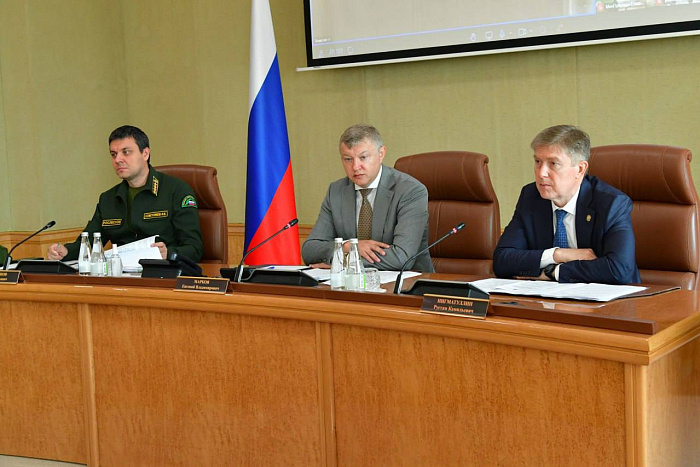 Кировская область в числе лидеров по лесовосстановлению