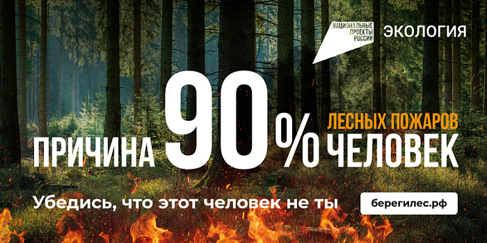 В Кировской области за неделю не зарегистрировано лесных пожаров