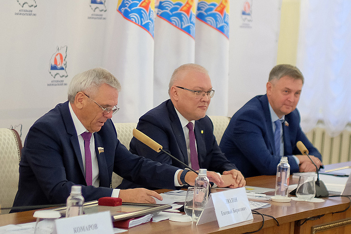 Ассоциация законодателей ПФО отметила уникальный опыт Кировской области по поддержке семей
