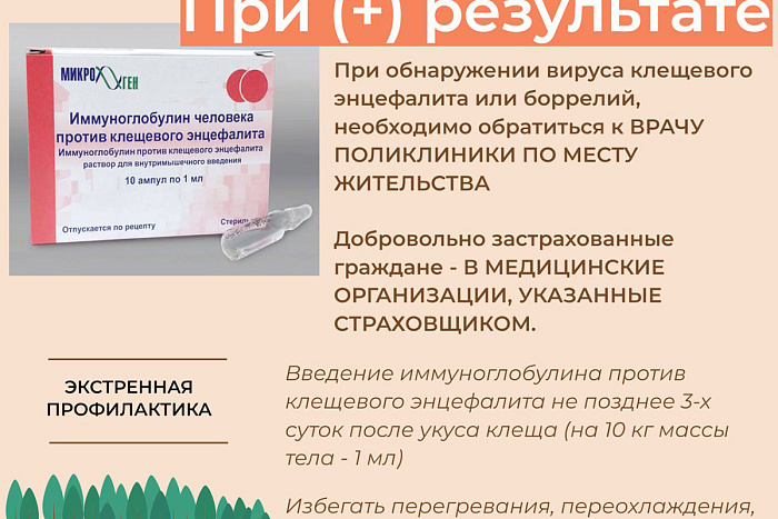 Куда обратиться при укусе клеща