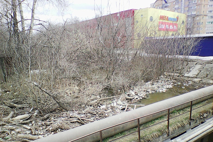 На расчистку реки Хлыновки выделены средства из федерального бюджета