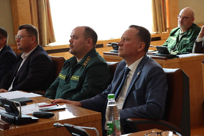 Кировская область в числе лидеров по лесовосстановлению