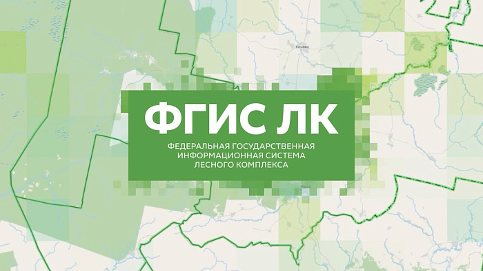 Кировская область среди лучших по оказанию цифровых услуг в лесной сфере