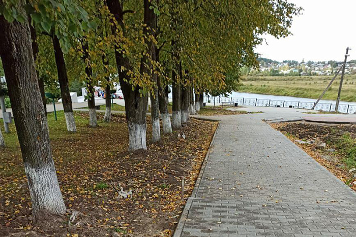Завершены работы по благоустройству дворов и общественных пространств в Лебяжье