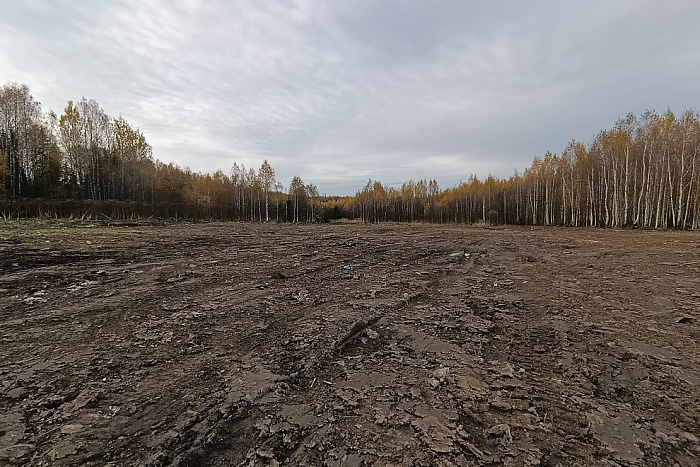 В Кировской области ликвидировано более 80% поселковых свалок