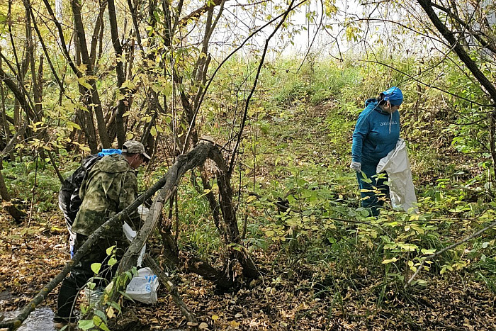 Берега реки Чумовицы очистили от мусора