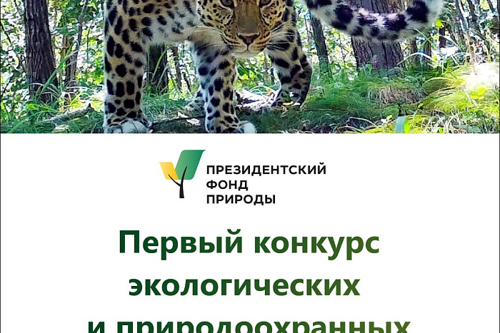 Стартовал первый грантовый конкурс Президентского фонда природы с объемом 1 млрд рублей