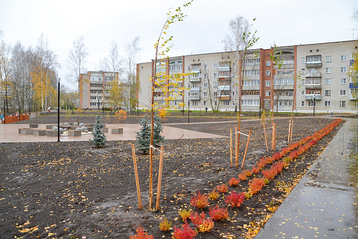 В Кирово-Чепецке продолжается озеленение парка «Южный»