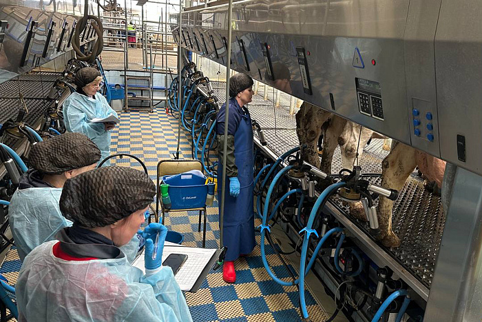 Кировчанка примет участие во Всероссийском конкурсе операторов машинного доения