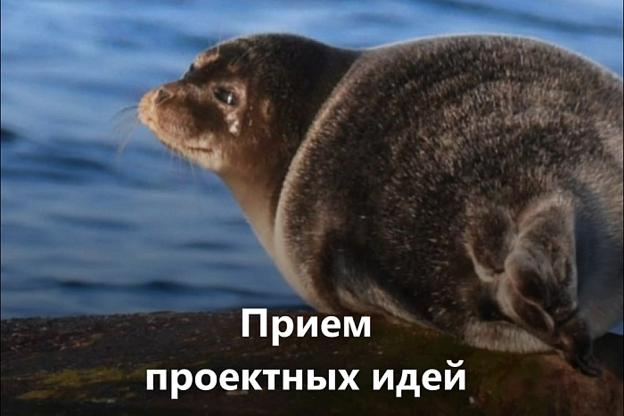 Стартовал первый грантовый конкурс Президентского фонда природы с объемом 1 млрд рублей