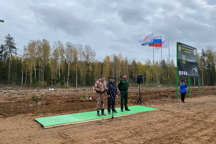 Кировчане присоединились к Всероссийской акции «Сохраним лес»