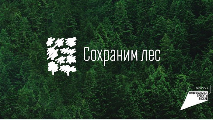 В Кировской области пройдет акция «Сохраним лес»