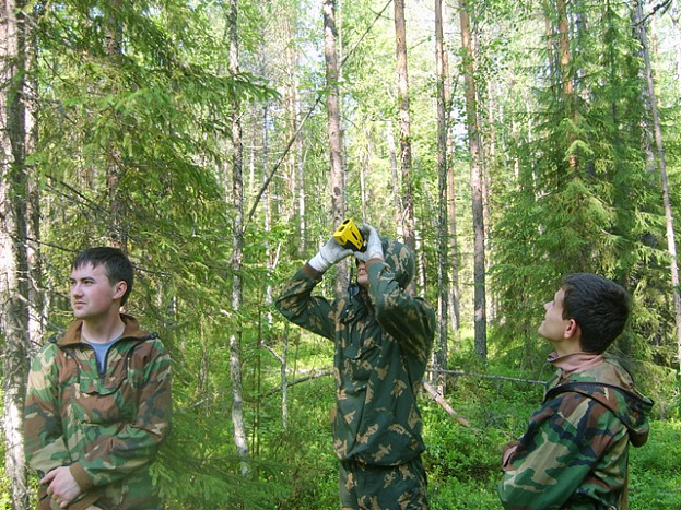 В Кировской области впервые введены выплаты для молодых лесников 