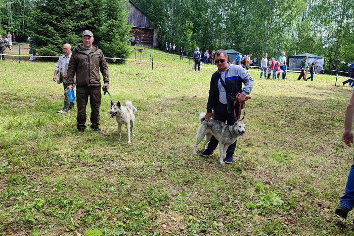 В Кирове впервые прошел Всероссийский фестиваль «Вятский охотник и рыбак»