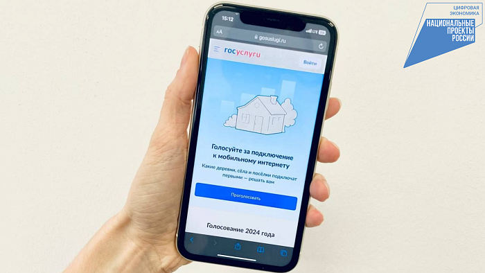 Жители Кировской области голосуют за подключение деревень к интернету