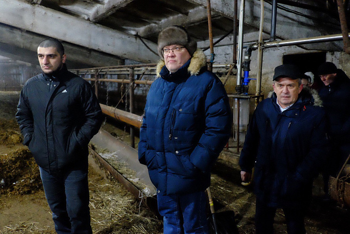 Александр Соколов: животных с фермы в Малмыже продадут новому собственнику