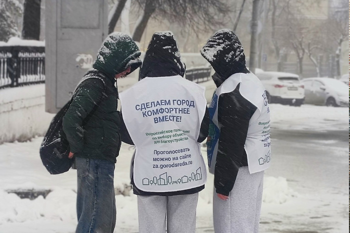 Волонтеры помогают проголосовать за благоустройство территорий