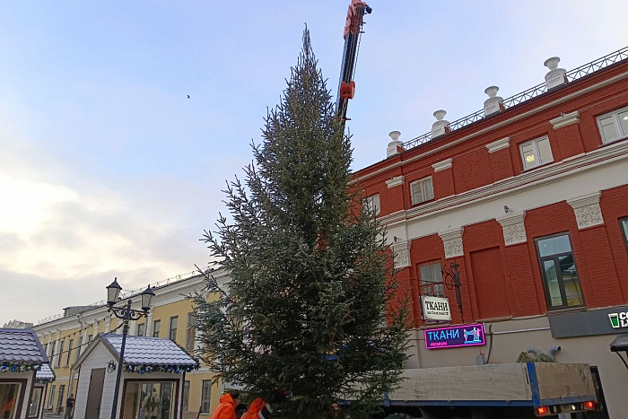 В Кирове установили новогоднюю елку Кировской области