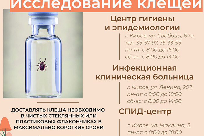 Куда обратиться при укусе клеща