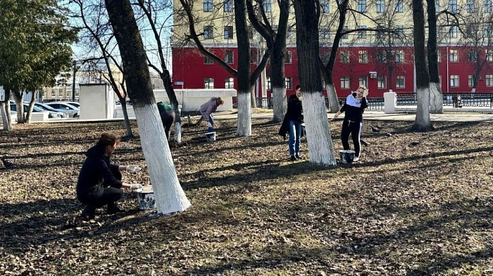 Кировская область примет участие во Всероссийском субботнике 