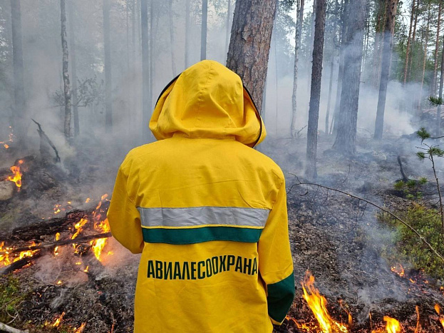 Кировские огнеборцы помогут в борьбе с лесными пожарами в Бурятии